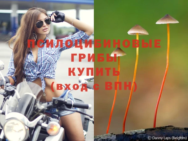 jwh Нефтегорск
