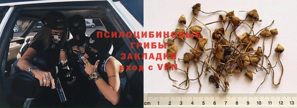 jwh Нефтегорск